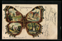 Schmetterlings-AK Hildburghausen, Markt Mit Brunnen, Denkmal, Schloss  - Fotografia