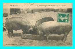 A818 / 177 COCHONS On T'attend Pour Faire Un 4e à La Manille ( Cochon ) - Pigs