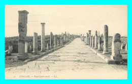 A822 / 191 Algérie TIMGAD Voie Cardo Nord - Autres & Non Classés