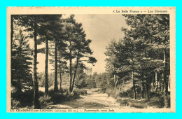 A823 / 197 43 - LE CHAMBON SUR LIGNON Promenade Sous Bois - Le Chambon-sur-Lignon