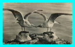 A826 / 195 OISEAU Le Lac Léman Les Mouettes - Oiseaux