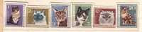 1967 Fauna  CATS   6v.-MNH  BULGARIA / Bulgarie - Unused Stamps