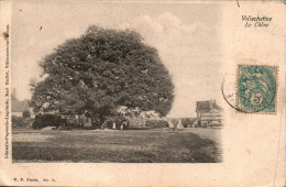 N°884 W -cpa Villechetive -le Chêne- - Bäume