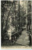 CPA 9 X 14 Val De Marne  Bois De VINCENNES  Une Passerelle - Vincennes