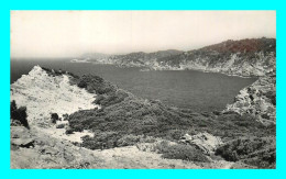 A832 / 557 83 - Ile De PORQUEROLLES Falaises Du Cap D'Arme - Porquerolles