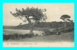 A837 / 045 35 - ROTHENEUF Le Bois Du Lupin - Rotheneuf