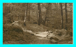 A833 / 317 ECOSSE ? The Torrent Walk Dolcelly - Other & Unclassified