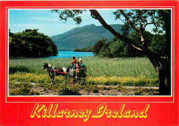 Irlande - Kerry - Muckross - Park - Killarney - Attelage De Chevaux - Carte Neuve - Ireland - CPM - Voir Scans Recto-Ver - Kerry