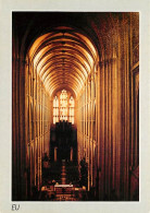 76 - Eu - Nef De La Collégiale - Carte Neuve - CPM - Voir Scans Recto-Verso - Eu