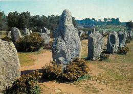 56 - Carnac - CPM - Voir Scans Recto-Verso - Carnac