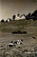 13816243 Gruyeres  Gruyere FR Eglise  - Sonstige & Ohne Zuordnung