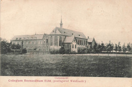 ALLEMAGNE - Ostansicht - Collegium Bernardinum Echt - Carte Postale Ancienne - Andere & Zonder Classificatie