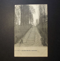 Belgi¨- Belgique - Belgium - CPA - Grammont - Les Escaliers De La Montagne - Used Card Avec Timbre 1908 - Geraardsbergen