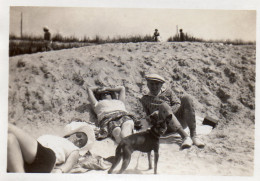 Photographie Photo Vintage Snapshot Chien Plage Beach Dog Puppy Pet - Sonstige & Ohne Zuordnung