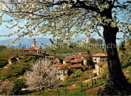 13815978 Carabbia TI Panorama  - Sonstige & Ohne Zuordnung