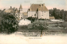 13815761 Colombier  NE Chateau De Colombier  - Autres & Non Classés