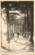 ALGERIE - ALGER - 10 - Au Square, Sous Les Palmiers - Sauveur édit. Photo. Phot. LEROUX Alger - Algiers