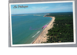 LA PALMYRE 17 - Vue Aerienne De La Plage De La Lède Det De Bonne Anse  - Andere & Zonder Classificatie