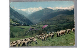 PYRENEES - La Vallée D'Oueil Aux Environs De LUCHON Troupeau De Mouton 1962 - Luchon