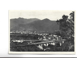 CPA PHOTO  DPT 66 CERET ET LES TROIS PONTS - Ceret