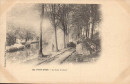 29 , Cpa  PONT AVEN , 223 , Le Bois D'Amour  (12781.V24) - Pont Aven
