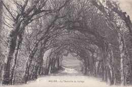 BELLEY                        La Charmille Du College - Belley