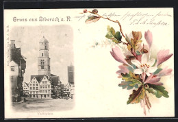 AK Biberach A. R., Marktplatz, Blume  - Biberach