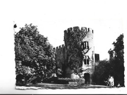 CPA PHOTO  DPT 47 ENVIRONS DE NERAC , LA FACADE DU CHATEAU DE TASTA - Nerac