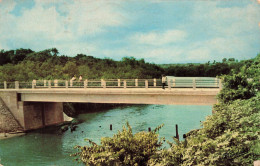 FRANCE - Guadeloupe - Le Moule - Le Pont De L'Autre Bord Et La Rivière D'Audouin - Colorisé - Carte Postale Ancienne - Pointe A Pitre