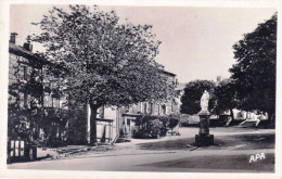 81 - Tarn - LACAUNE  Les BAINS - Place De La Vierge - Otros & Sin Clasificación