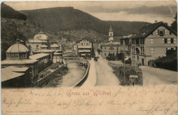 Gruss Aus Wildbad - Calw