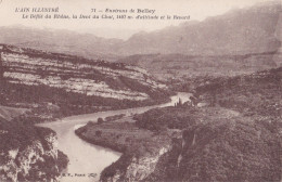 71 ENV DE BELLEY                                  Le Defile Du Rhone - Belley