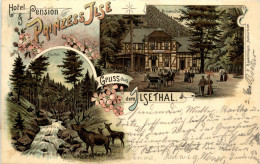 Hotel Pension Prinzess Ilse - Gruss Aus Dem Ilsethal - Litho - Ilsenburg