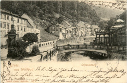 Wildbad - Olgastrasse - Calw