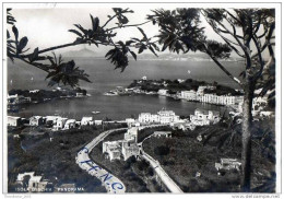 CARTOLINA - POSTCARD - CPT - POSTKARTE - ISOLA D'ISCHIA (NA) - PANORAMA - Napoli (Naples)