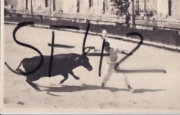 ARLES           CARTE PHOTO GEORGES     ARENES  CORRIDA    3 - Arles