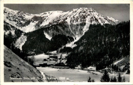 Mariazell/Steiermark - Seewiesen, Gegen Aflenzer Staritzen - Mariazell