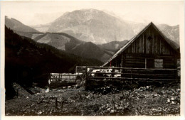 Mariazell/Steiermark - Passhöhe Niederalpl, Gasthaus Mayer - Mariazell