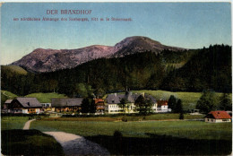 Mariazell/Steiermark - Der Brandhof Am Nördlichen Abhange Des Seeberges - Mariazell