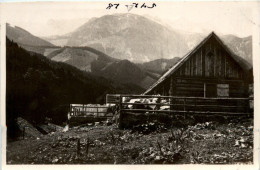 Mariazell/Steiermark - Niederalpl - Mariazell