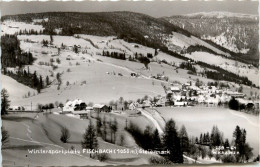 Weiz/Steiermark - Sommerfrische Fischbach, Wintersportplatz - Weiz