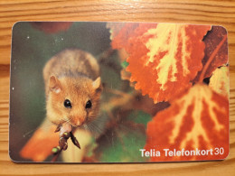 Phonecard Sweden - Hamster - Suède