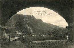 Mürzzuschlag/Steiermark - Mürzzuschlag - Eingang In Die Au - Mürzzuschlag