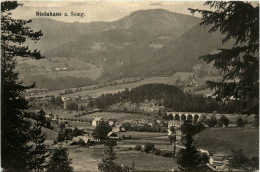 Mürzzuschlag/Steiermark - Steinhaus Am Semmering - - Mürzzuschlag