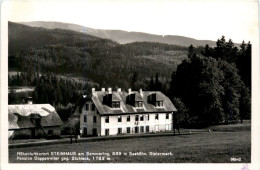 Mürzzuschlag/Steiermark - Steinhaus A. Semmering - Pension Doppelreiter Gegen Stuhleck - Mürzzuschlag