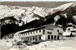 Mürzzuschlag/Steiermark - Seewiesen , Seeberghof Hotel - Mürzzuschlag