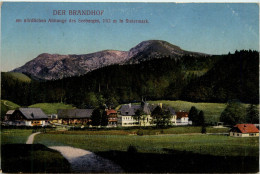 Mariazell/Steiermark -Der Brandhof Am Nördlichen Abhange Des Seeberges - Mariazell