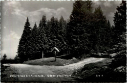 Weiz/Steiermark - Fischbach Bei Weiz, Zellerkreuz - Weiz