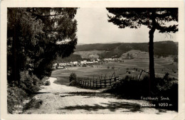 Weiz/Steiermark - Sommerfrische Fischbach - Weiz