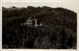 Mürzzuschlag/Steiermark - Alpenhotel Hubertushof - Sollerhöhe - Mürzzuschlag